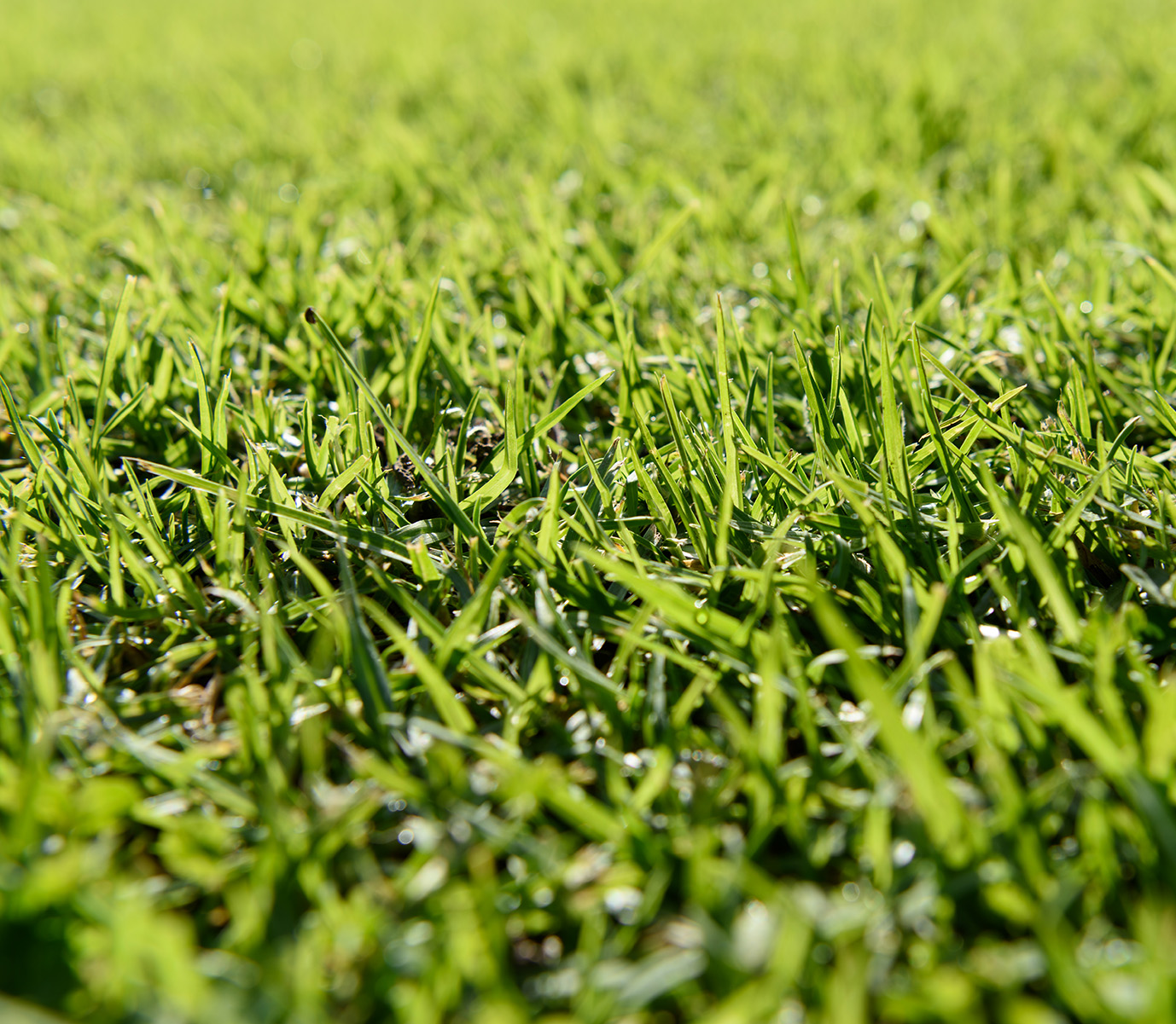 Green Aeration